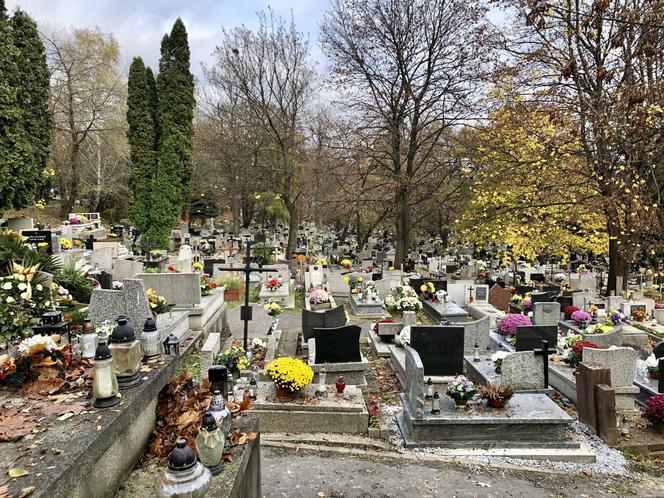 Nawet dwa tygodnie oczekiwania na pogrzeb w Krakowie. Miasto zatrudnia nowych grabarzy