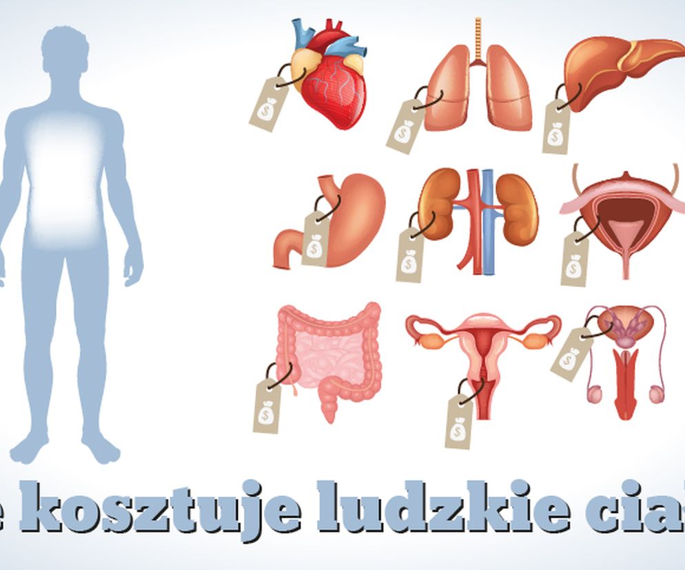 Ile kosztuje ludzkie ciało?
