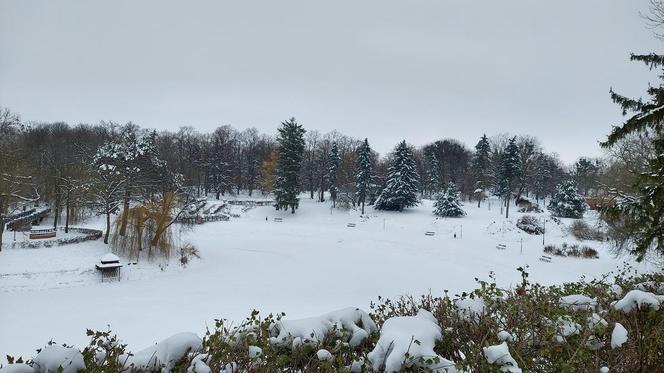 Zamojski Park pod śniegiem