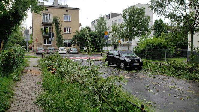 Koszmarne skutki burzy w Warszawie. Ulice popłynęły, drzewa łamały się jak zapałki