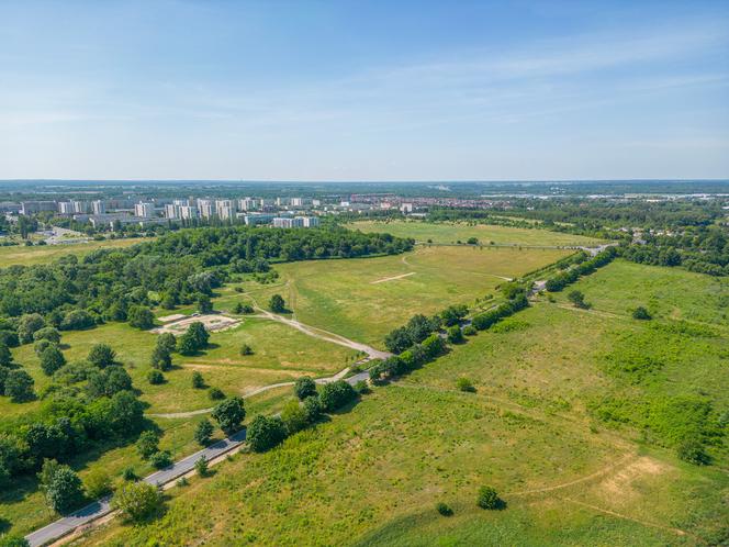 Kolejne utrudnienia od lipca. Wyznaczono nową trasę z Konstantynowa do Łodzi