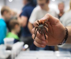 Egzotyczne zwierzęta powracają do Hali Expo! Zobaczycie je już w marcu