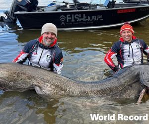 Polscy wędkarze złowili suma giganta o długości 292 cm. To nowy rekord świata!