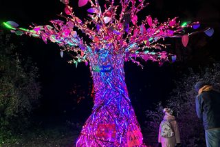 Lumina Park Poznań w święta 