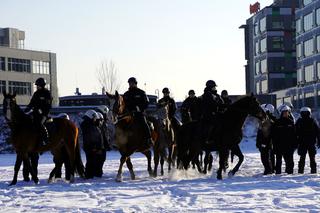 Warszawa: konie w policyjnej służbie