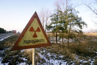 QUIZ. Wydarzenia XX wieku. W którym dziesięcioleciu TO się stało? Komplet dla omnibusów