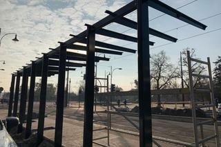Plac Rapackiego w Toruniu przeszedł metamorfozę. Tak wygląda w nowej wersji!