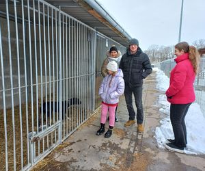 Schronisko dla bezdomnych zwierząt w Henrykowie prosi o słomę [ZDJĘCIA]