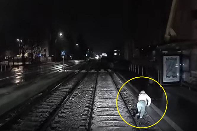Poznań: Nagle wpadła pod koła rozpędzonego tramwaju! Szokujące nagranie