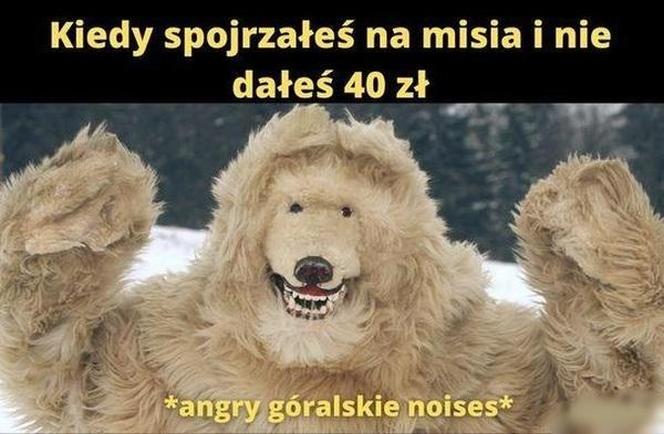 Najlepsze memy z białym misiem z Krupówek!