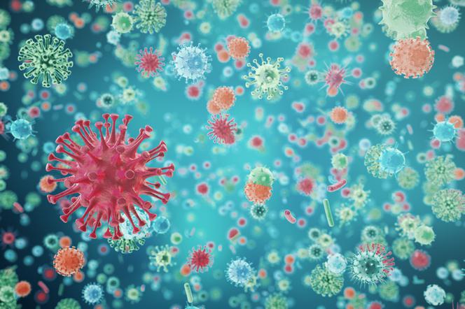 Wirusy grypy – objawy zakażenia, leczenie
