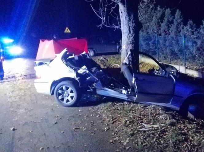 Śmierć 24-letniego kierowcy BMW w miejscowości Brzeźnio