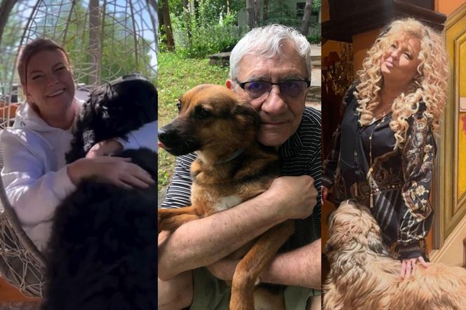 Te psy skradły serca gwiazd! Niektóre wyglądają jak z bajk