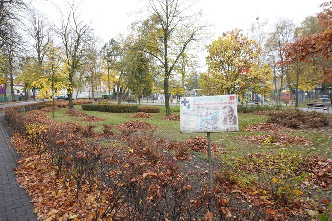 Park im. Cyryla Sroczyńskiego we Wronkach 