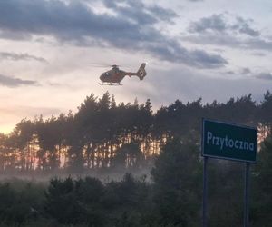 Przytoczna. Śmiertelny wypadek na DK 24. 49-latek nie żyje [ZDJĘCIA].
