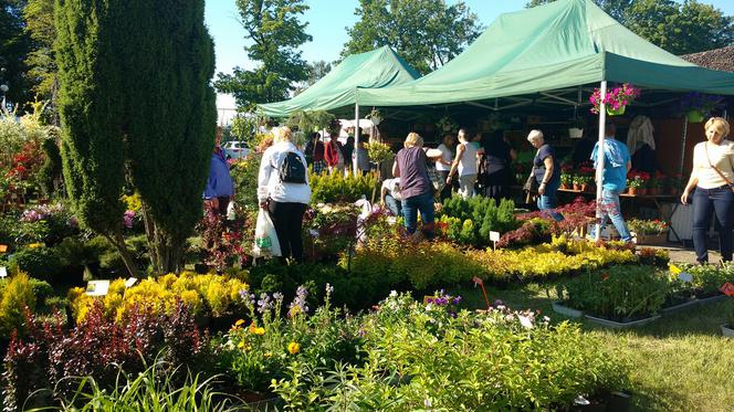 Chorzów: Kwiaty, zioła i dodatki do ogrodu. W Parku Śląskim trwa Święto Kwiatów [ZDJĘCIA]