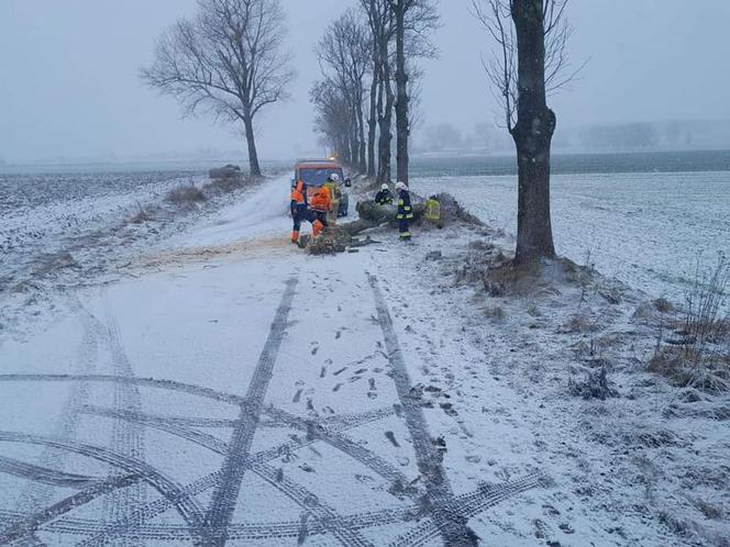Wichury nad Polską