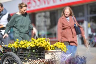 Zakupy wielkanocne w Warszawie
