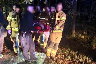 Poszedł na grzyby i prawie umarł. Poszukiwania trwały całą noc