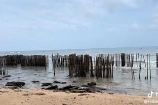 Rodzina pięcioraczków w Tajlandii. Nowy dom