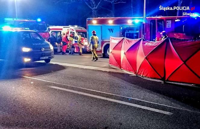 Tragedia na DK88 w Gliwicach. Nastolatek wbiegł wprost pod maskę pędzącego samochodu [ZDJĘCIA]