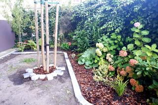 Ekologiczne rozwiązania w Łodzi. Niedługo rusza nabór wniosków do projektów