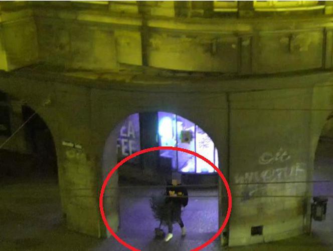 Spacerowali po Bydgoszczy z ukradzioną choinką! Interweniowała policja [ZDJĘCIA]