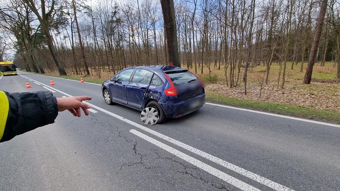 Śmiertelny wypadek w Bieruniu. Samochód uderzył w drzewo 