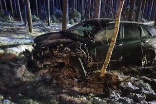 Wypadek na DK 10 pod Bydgoszczą! Jedna osoba poszkodowana [ZDJĘCIA]