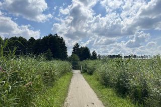 Jezioro Nowogardzkie