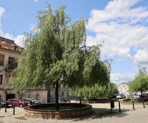 Tak wygląda pl. Rybny w Lublinie przed remontem