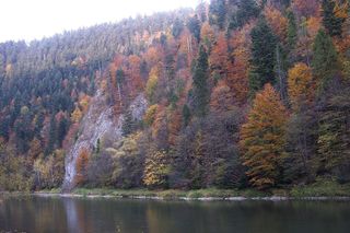 To najpiękniejsza rzeka w Małopolsce według AI. Przepływa przez popularne uzdrowisko