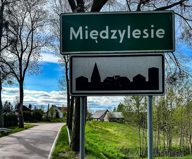 Mroczna tajemnica lasu pod Olsztynem. Bestialski mord konwojentów