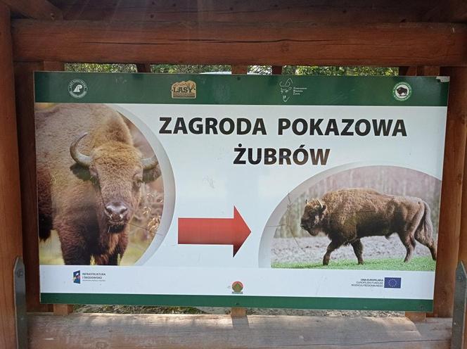 Zagroda Żubrów w Mucznem 