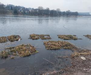 Przebudowa grobli na starachowickim Pasterniku