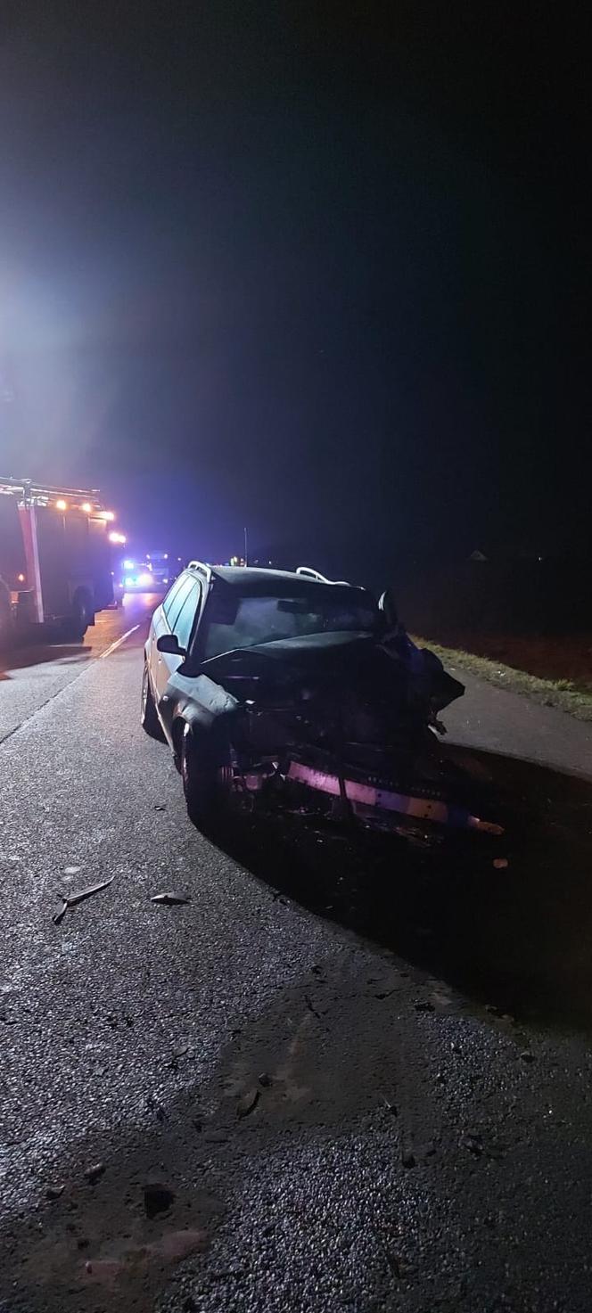 Tak wygląda auto po zderzeniu z łosiem