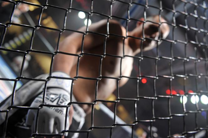 MMA CUP XI