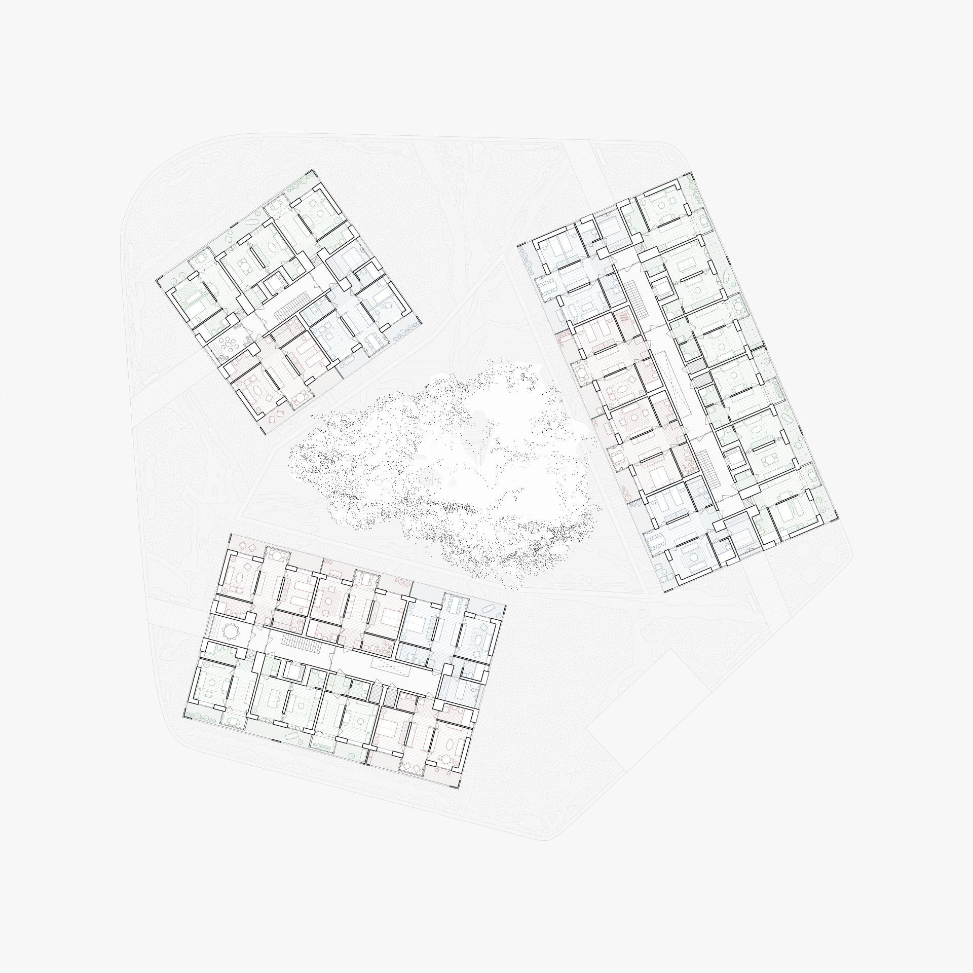 Osiedle Forsycji w Stargardzie