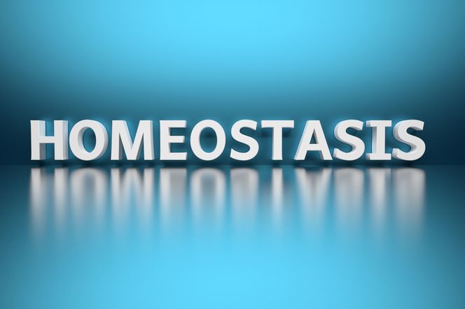 Homeostaza - co to jest? Zaburzenia homeostazy