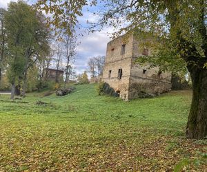 Zamek w Dąbrówce Starzeńskiej