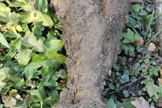 Groźny niewybuch w centrum Tuchowa. Na miejce wezwano saperów