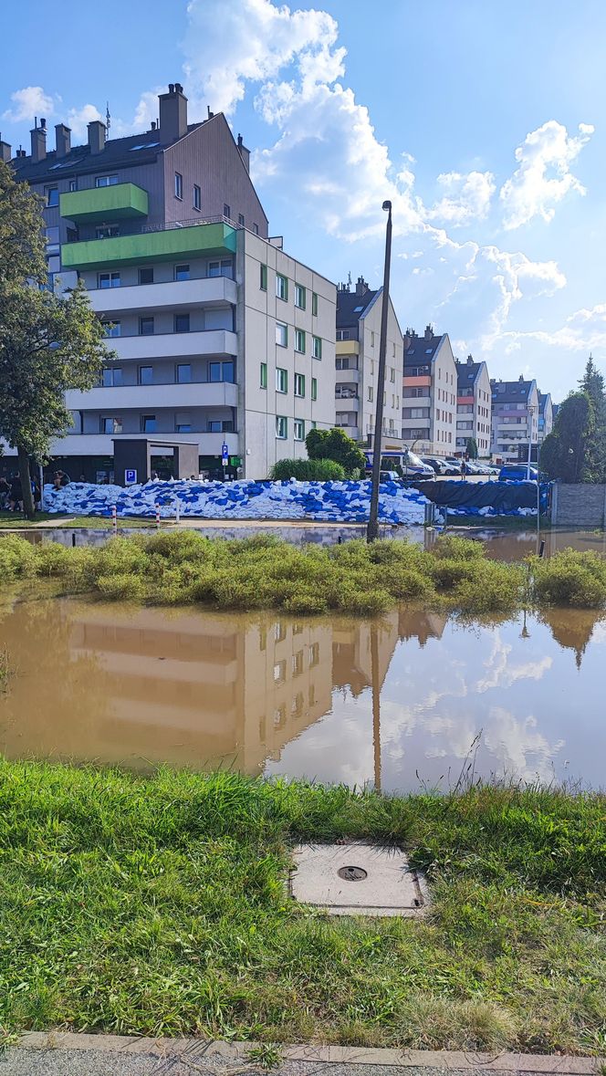 Stabłowice. Tak ratowali gołębie z działek