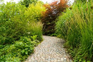 Ścieżka w ogrodzie