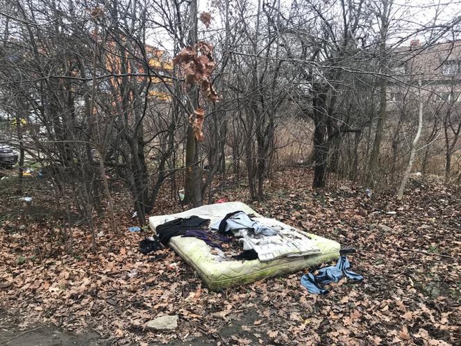 W krzakach pod blokiem na wrocławskim Gaju osiedliła się para bezdomnych!