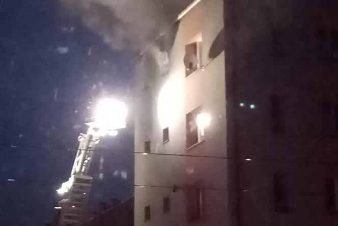 Tragiczny pożar w Katowicach. Strażacy znaleźli zwłoki [ZDJĘCIA]