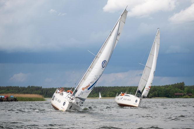 Regaty Architektów 2025