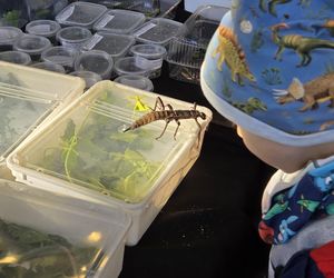 Węże, pająki i dreszczyk emocji w Bydgoszczy! Dragon Expo zachwyciło odwiedzających