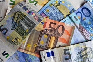 Dolnoślązacy ukradli ponad 6 mln euro