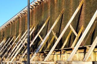 Tężnia nr 1 w Ciechocinku