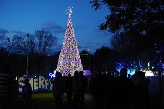Ogród Świateł w Krakowie